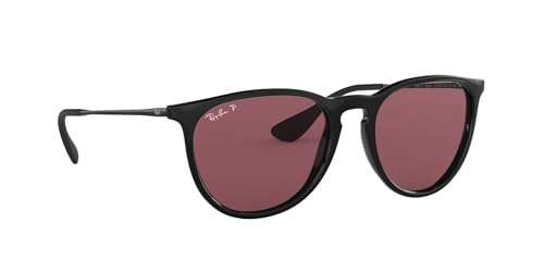 Ray-Ban RB4171 Erika Round Sunglasses