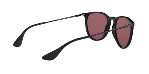Ray-Ban RB4171 Erika Round Sunglasses