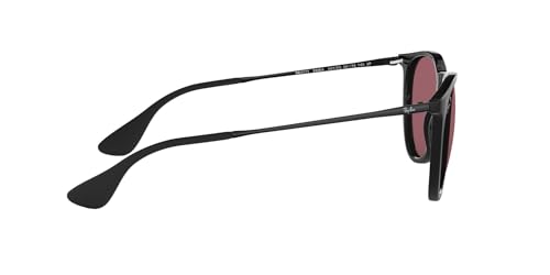 Ray-Ban RB4171 Erika Round Sunglasses