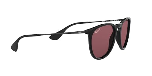 Ray-Ban RB4171 Erika Round Sunglasses