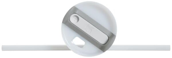 Stanley Quencher H2.0 FlowState