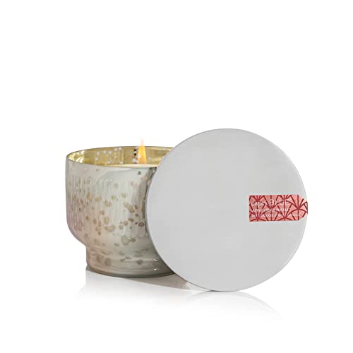 Capri Blue Holiday Mercury Jar Candle - Soy Candle Blend - Fall Candles for Home Scented with Frosted Fir, Snowy Woods, Pine & Sage - Pine Candle for Holiday Decor - Signature (Crystal Pine, 19 oz)