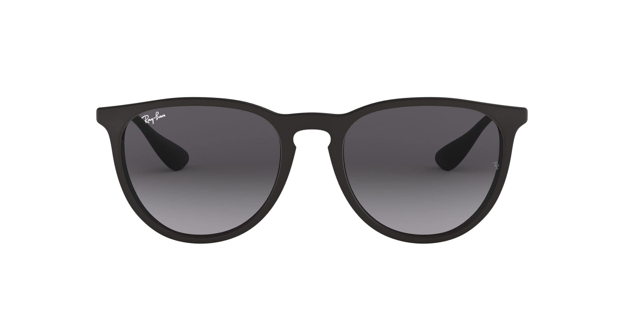 Ray-Ban RB4171 Erika Round Sunglasses