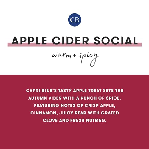 Capri Blue Holiday Mercury Jar Candle - Soy Candle Blend - Fall Candles for Home Scented with Frosted Fir, Snowy Woods, Pine & Sage - Pine Candle for Holiday Decor - Signature (Crystal Pine, 19 oz)