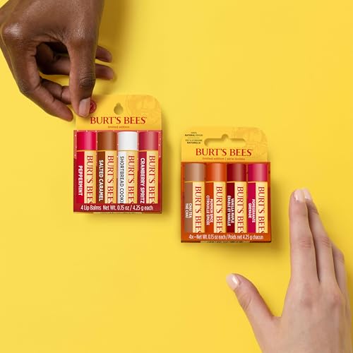 Burt’s Bees Christmas Gifts, 4 Lip Balm Stocking Stuffers Products, Beeswax Bounty Classic Set - Original Beeswax Moisturizing Lip Balm (4-Pack)