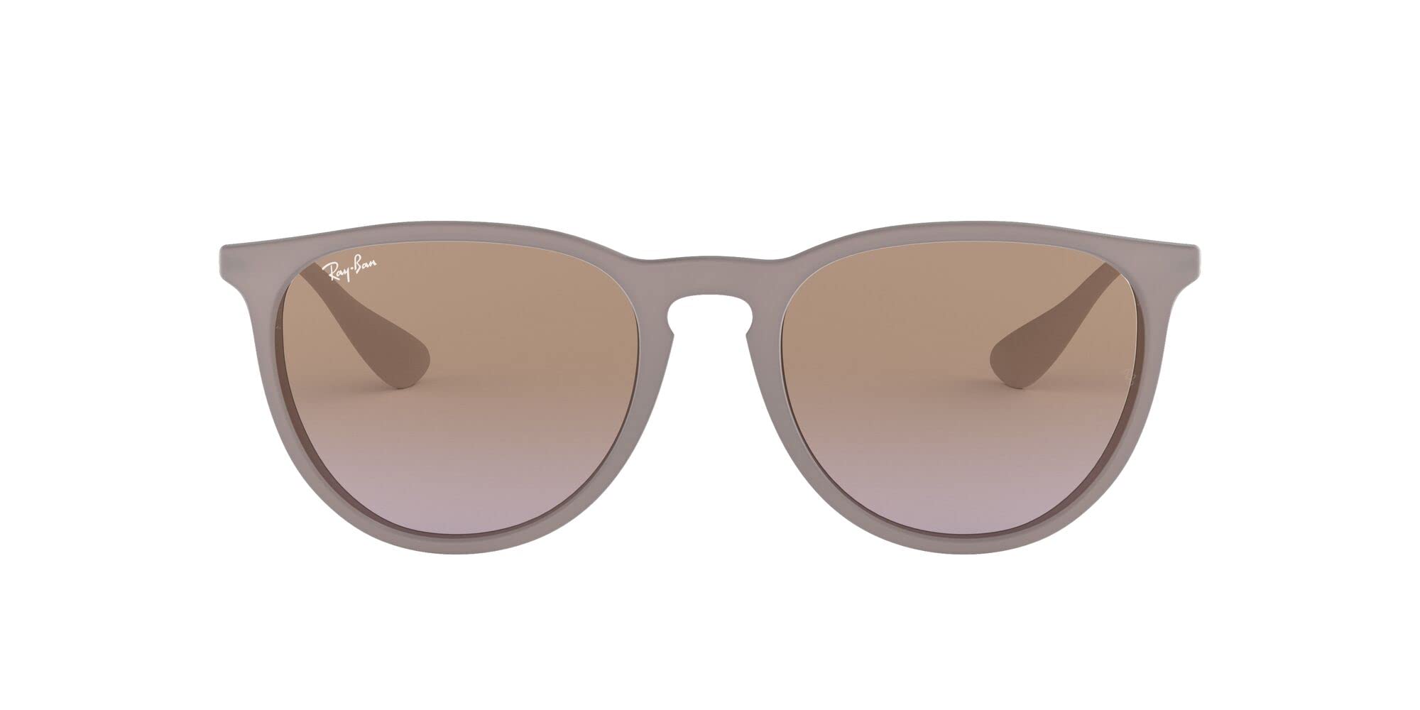 Ray-Ban RB4171 Erika Round Sunglasses