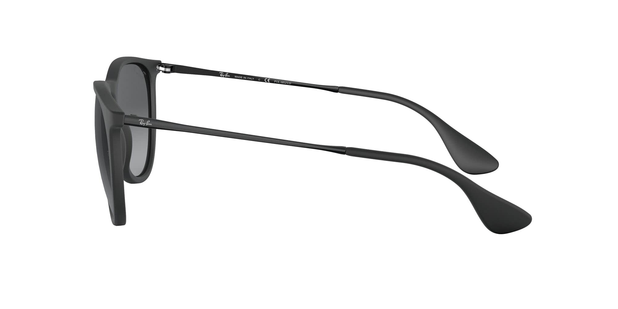 Ray-Ban RB4171 Erika Round Sunglasses