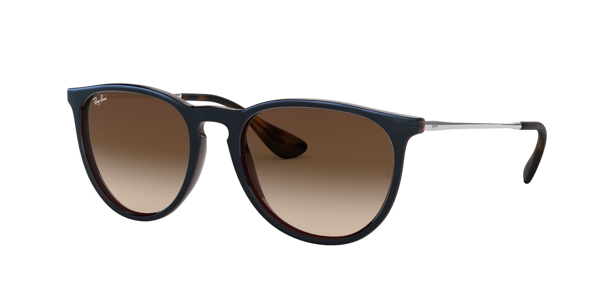 Ray-Ban RB4171 Erika Round Sunglasses