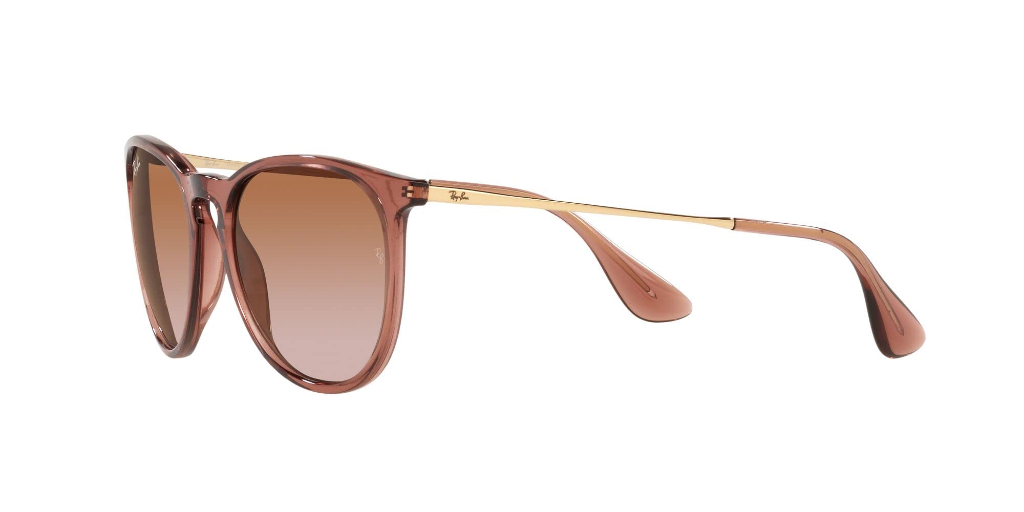 Ray-Ban RB4171 Erika Round Sunglasses