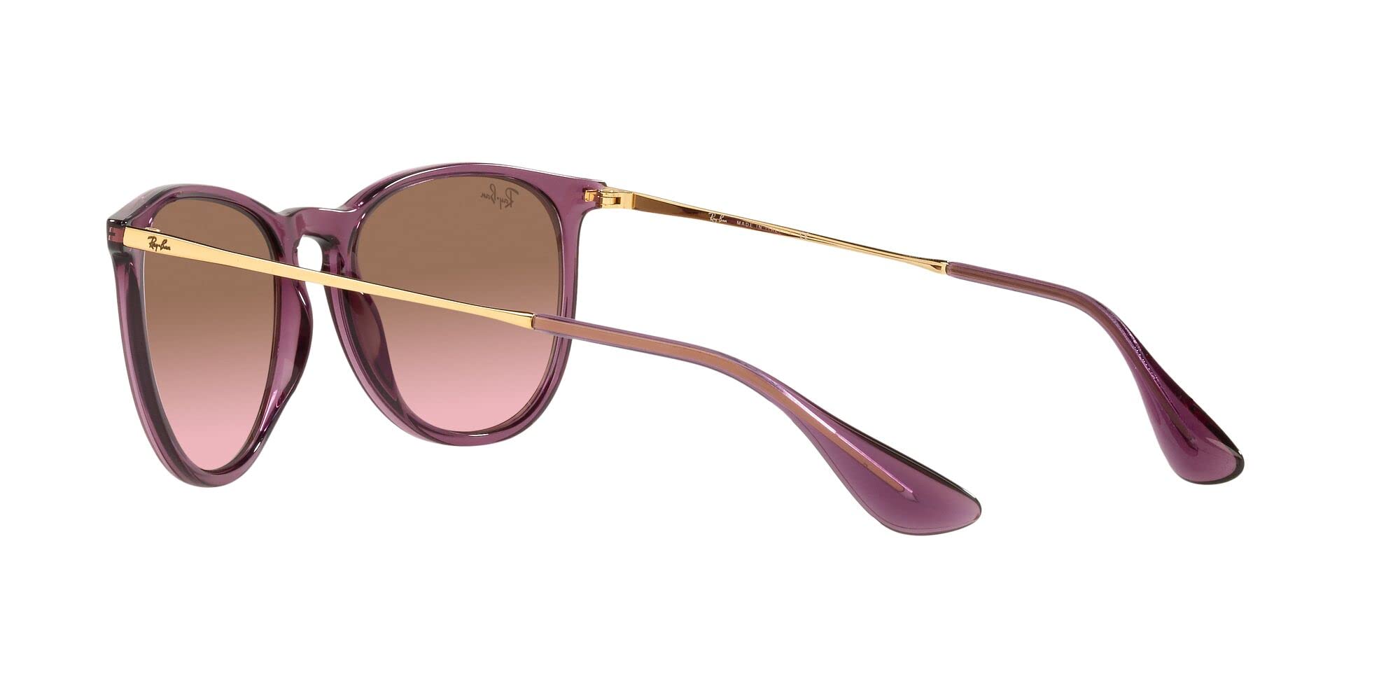 Ray-Ban RB4171 Erika Round Sunglasses