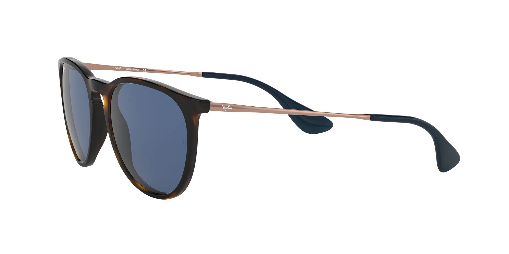 Ray-Ban RB4171 Erika Round Sunglasses