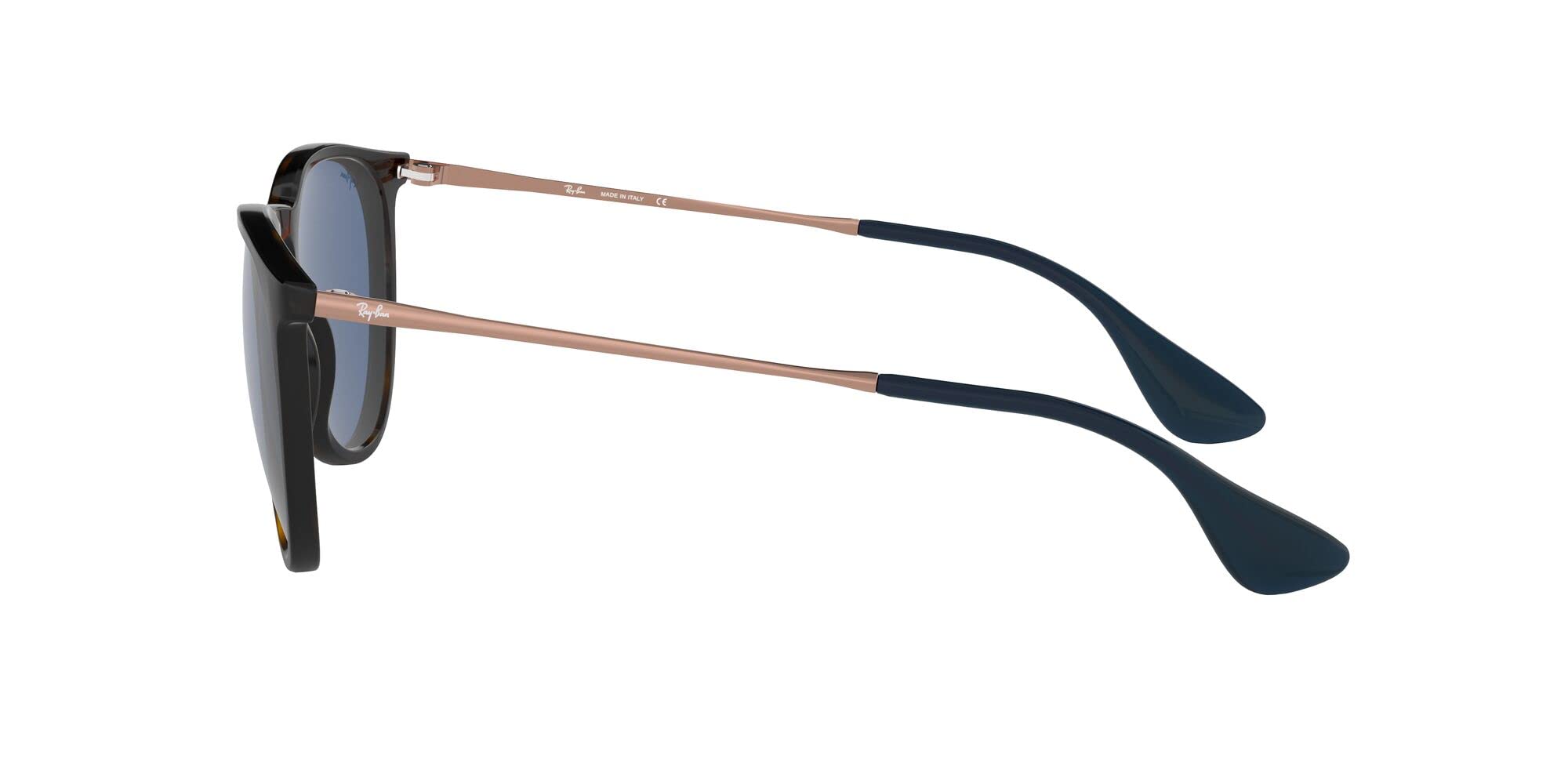 Ray-Ban RB4171 Erika Round Sunglasses