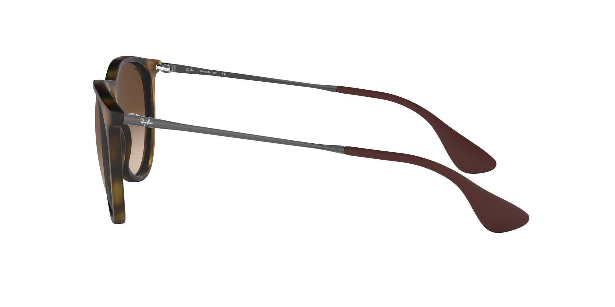 Ray-Ban RB4171 Erika Round Sunglasses