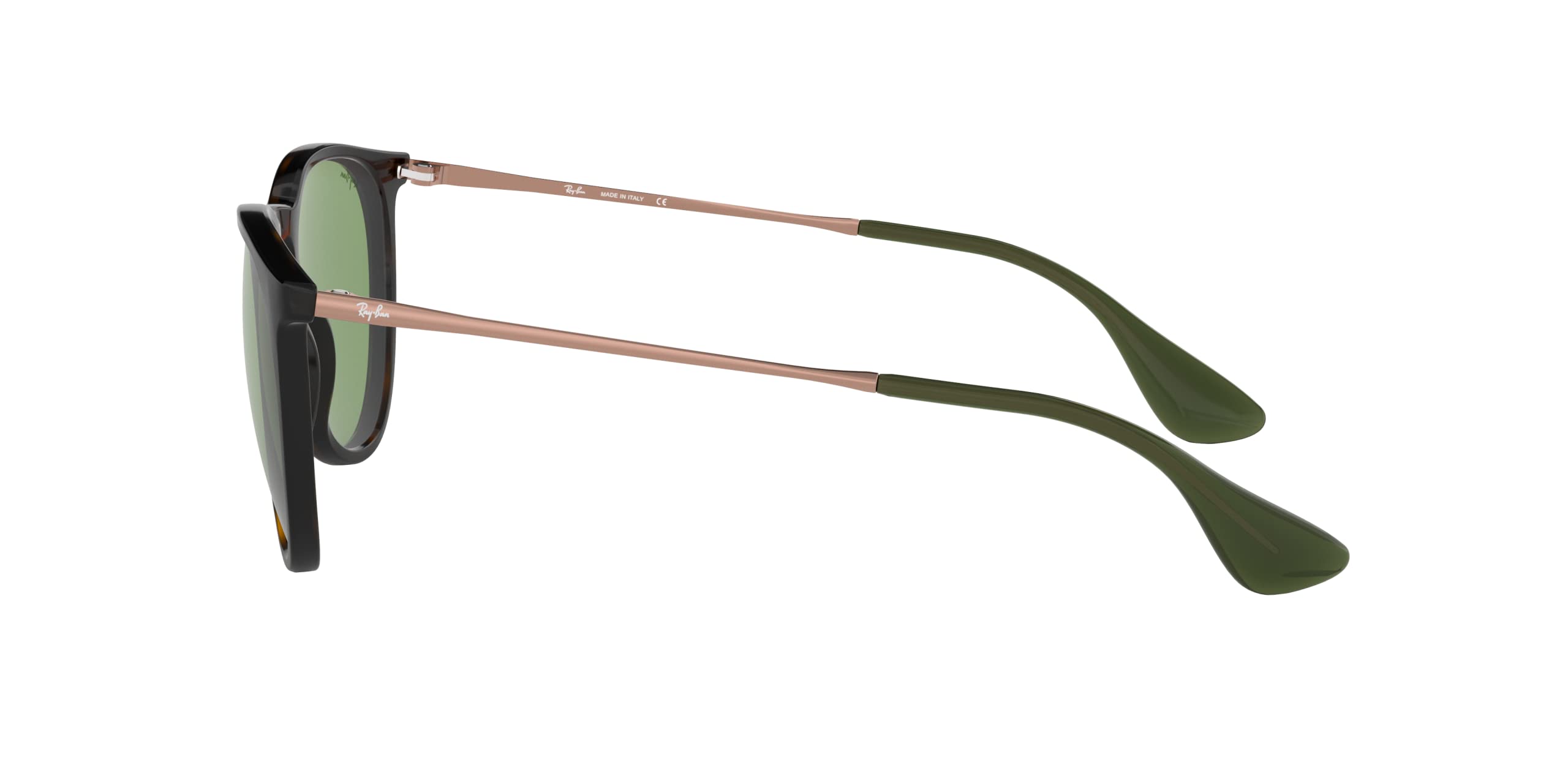 Ray-Ban RB4171 Erika Round Sunglasses