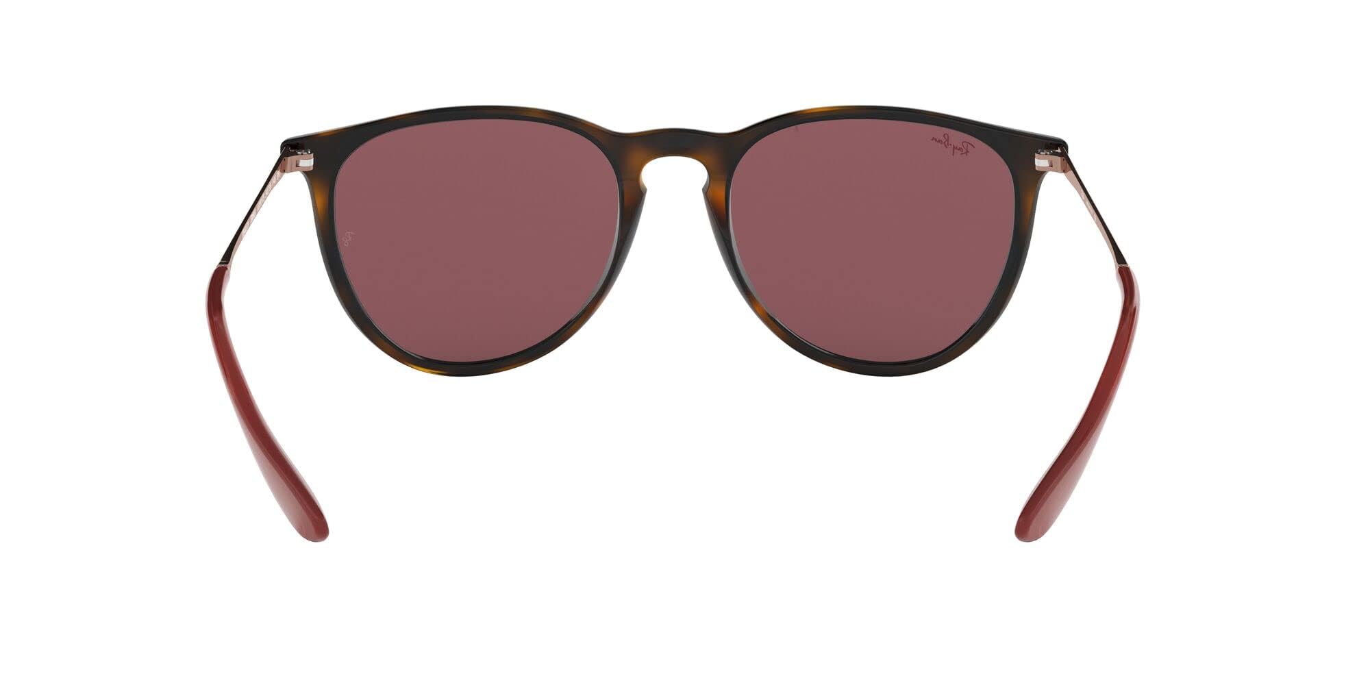 Ray-Ban RB4171 Erika Round Sunglasses