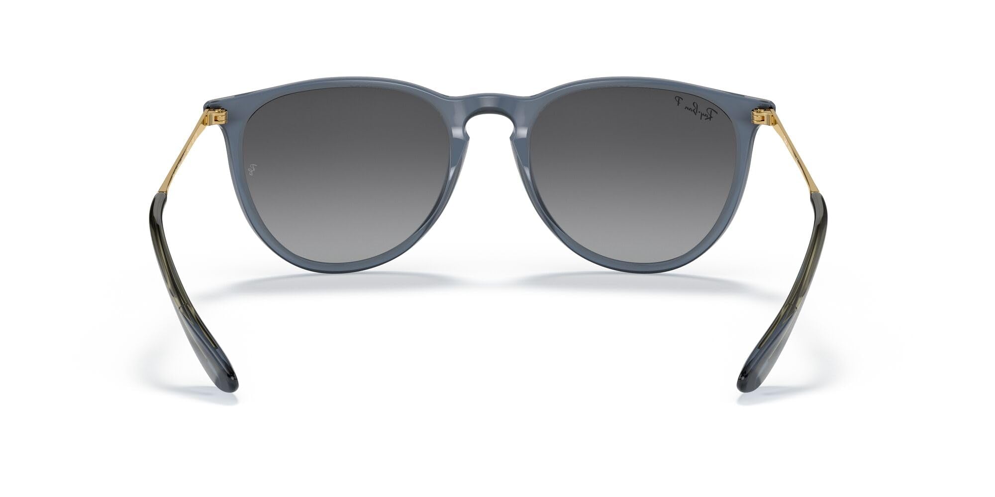 Ray-Ban RB4171 Erika Round Sunglasses