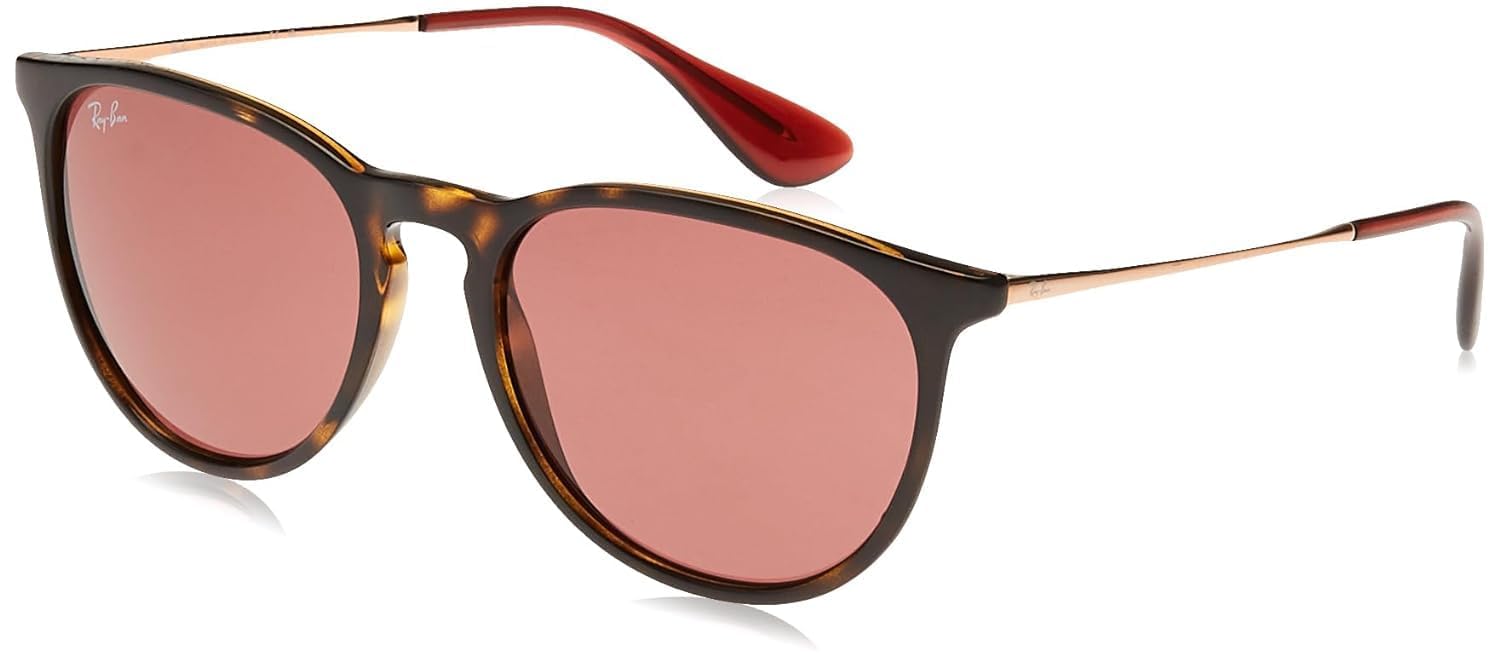 Ray-Ban RB4171 Erika Round Sunglasses