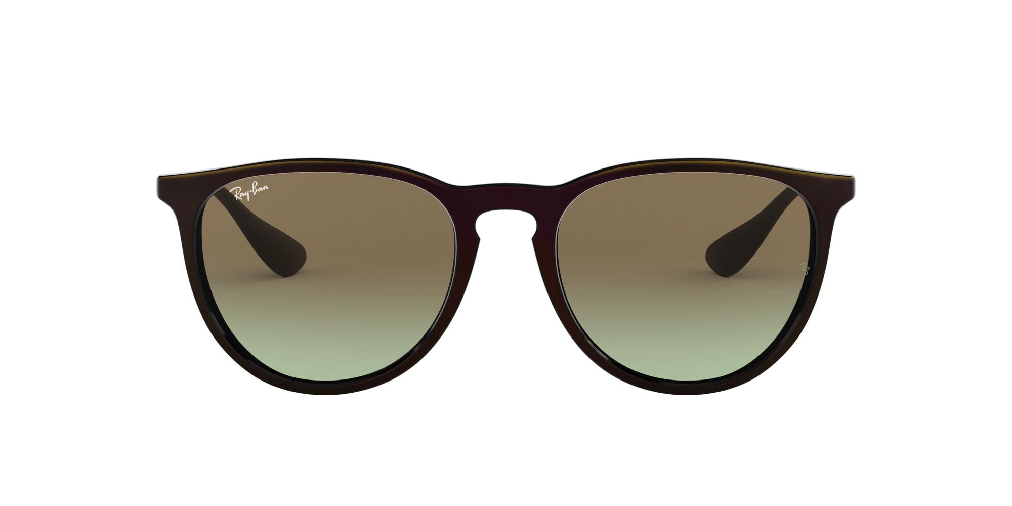 Ray-Ban RB4171 Erika Round Sunglasses