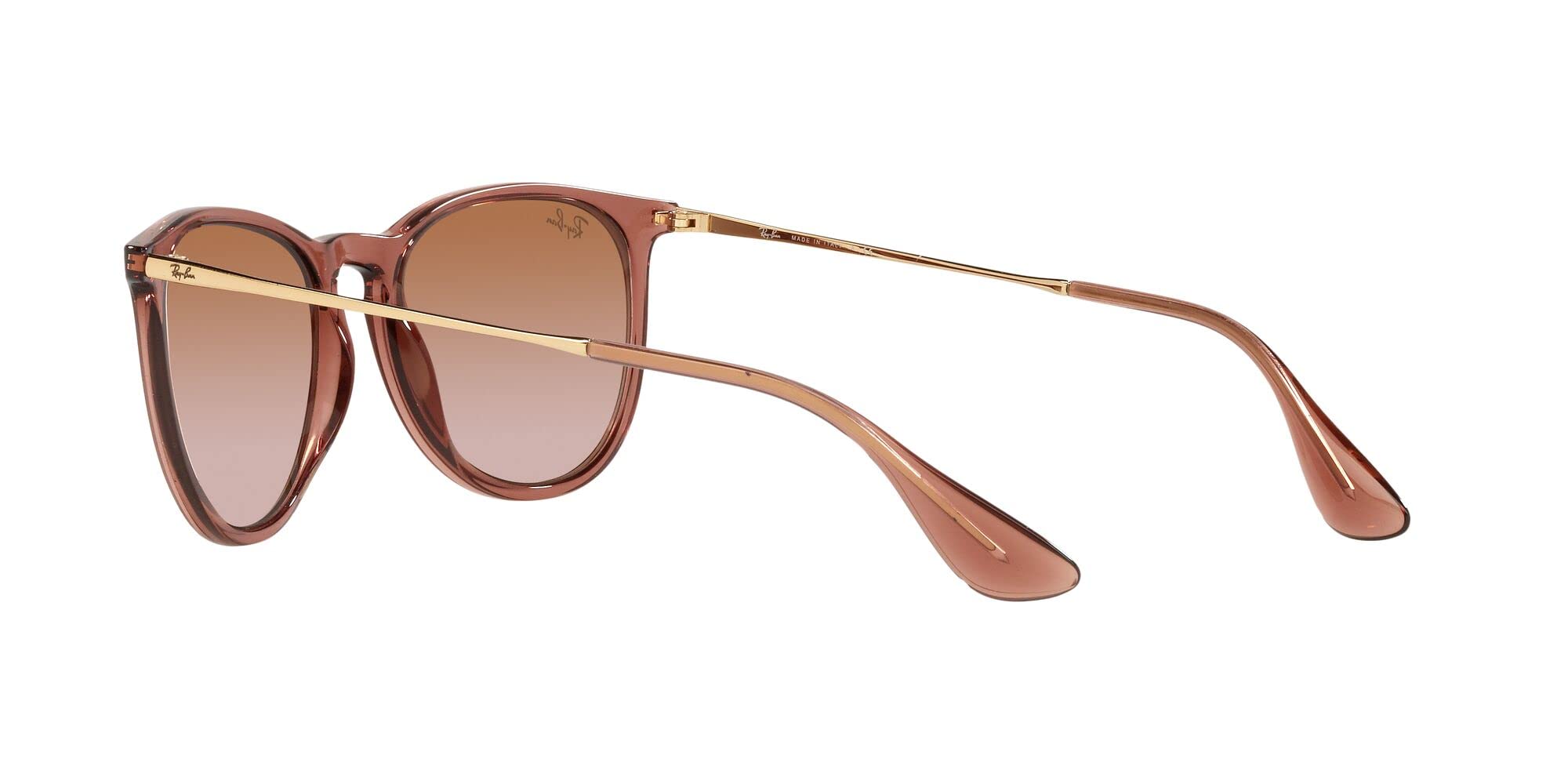 Ray-Ban RB4171 Erika Round Sunglasses