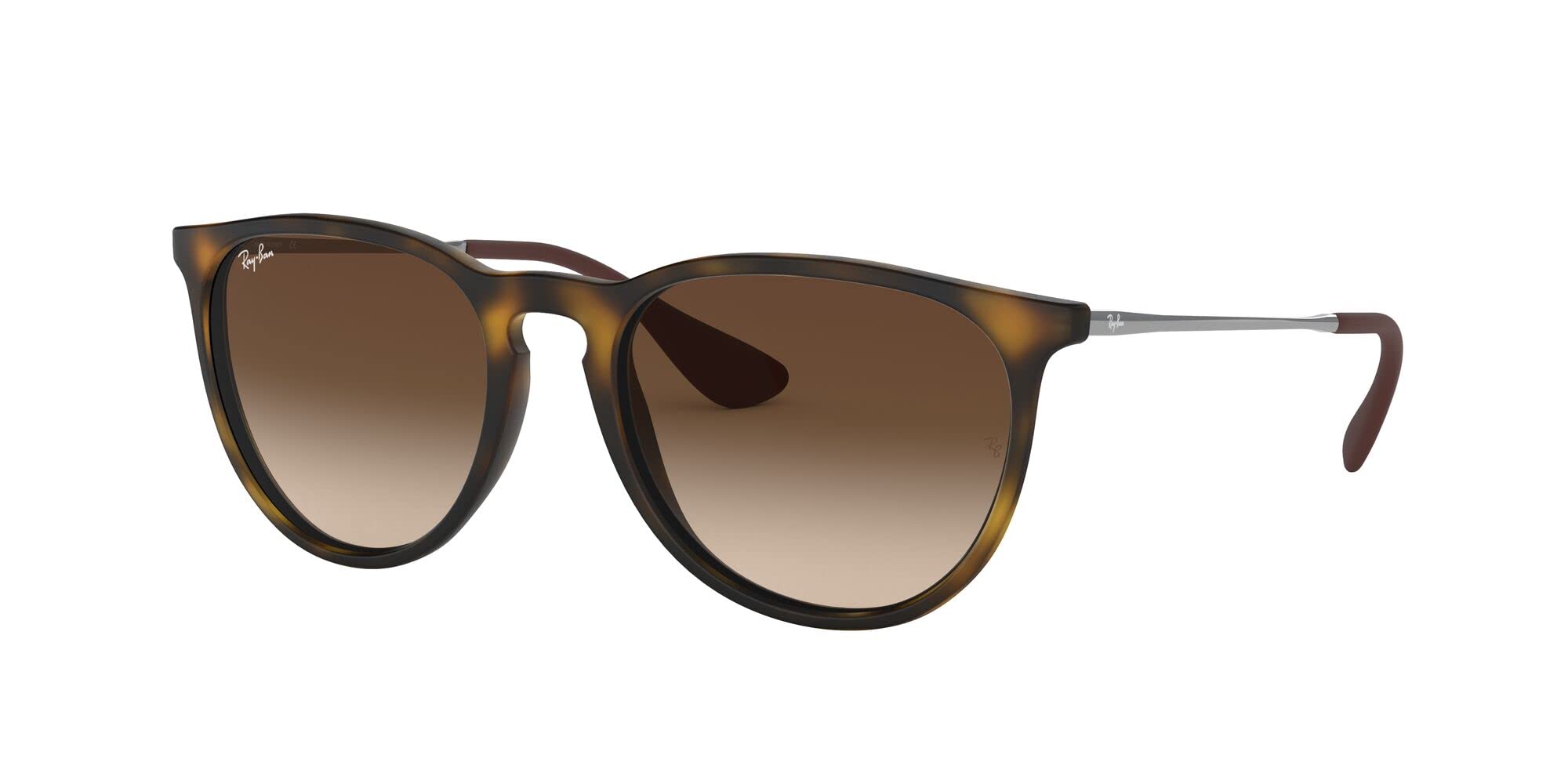 Ray-Ban RB4171 Erika Round Sunglasses