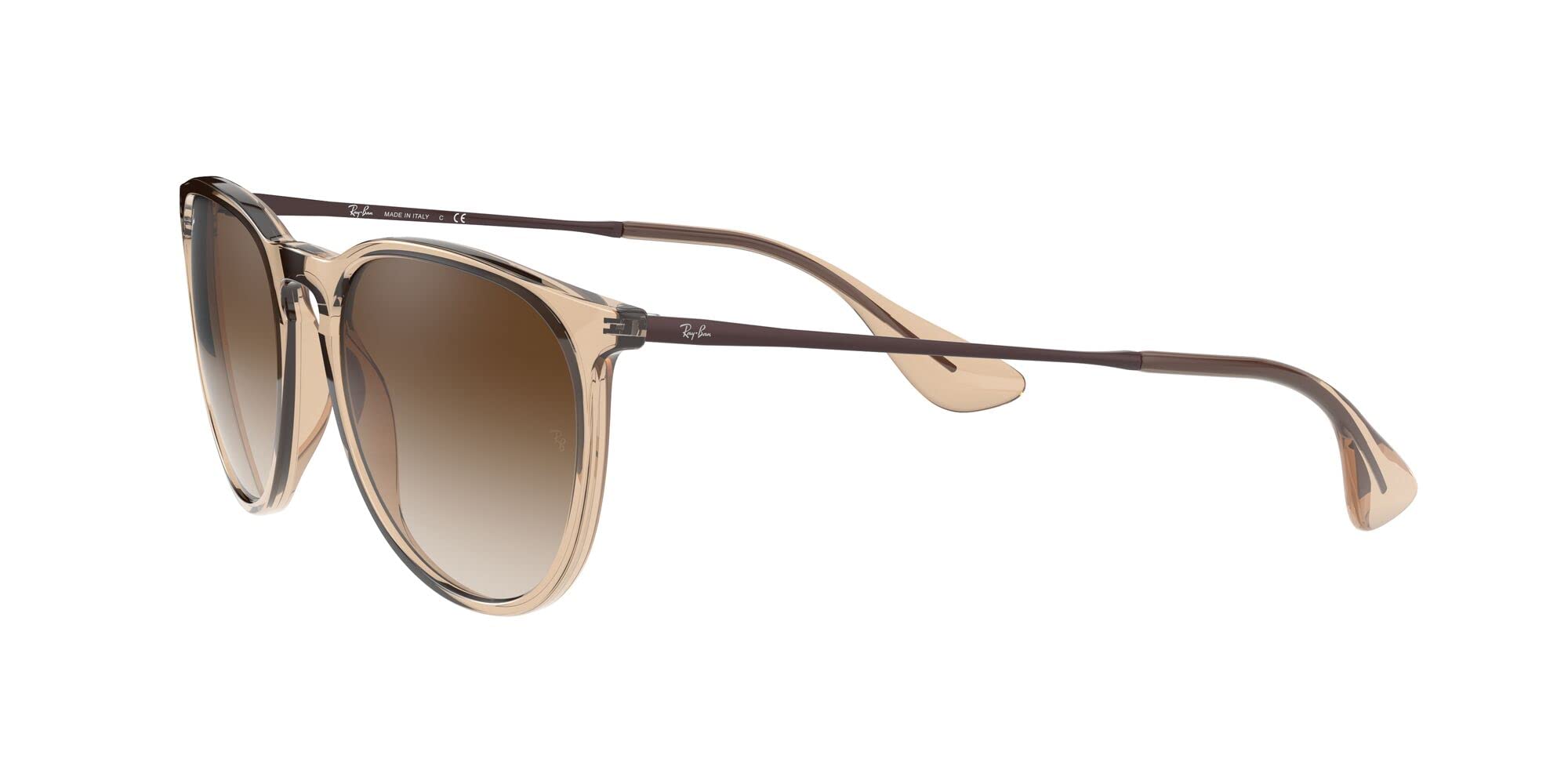 Ray-Ban RB4171 Erika Round Sunglasses
