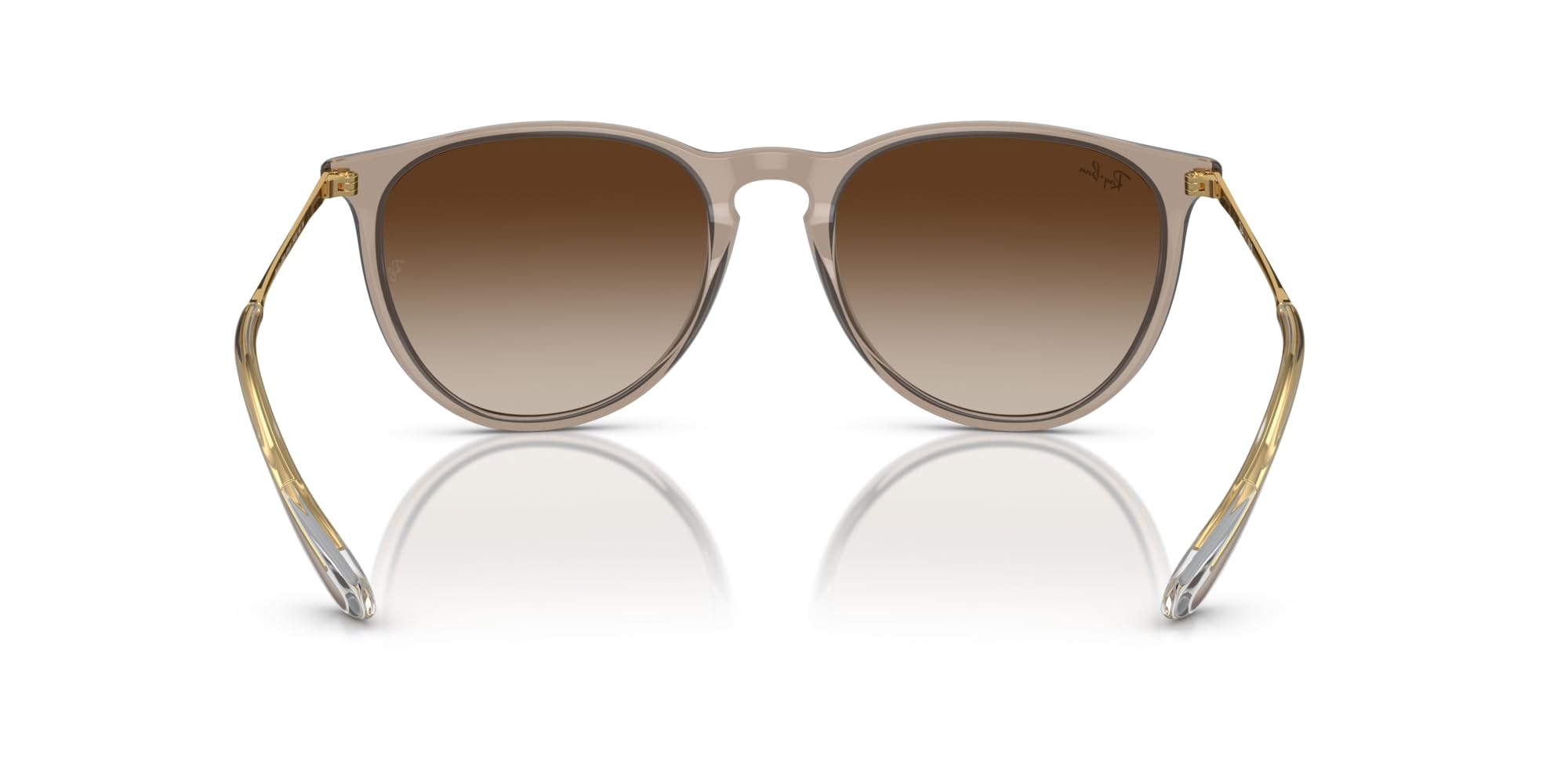 Ray-Ban RB4171 Erika Round Sunglasses