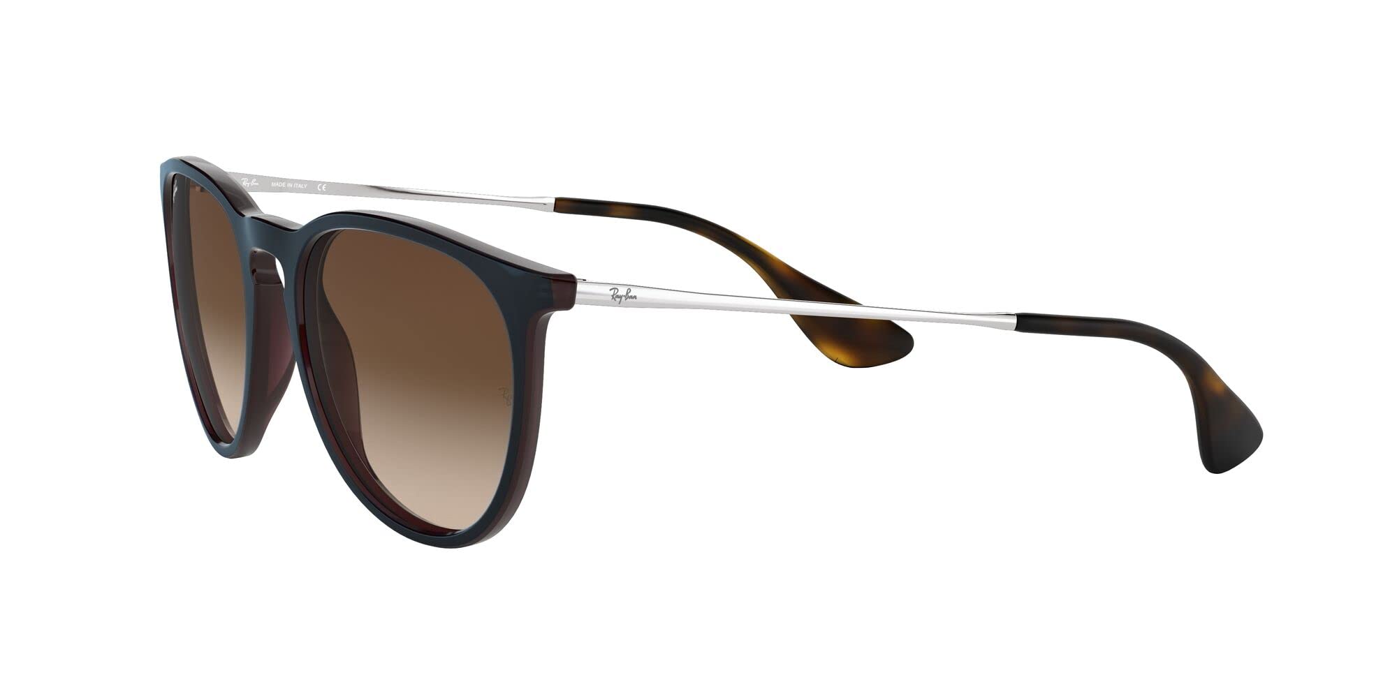 Ray-Ban RB4171 Erika Round Sunglasses