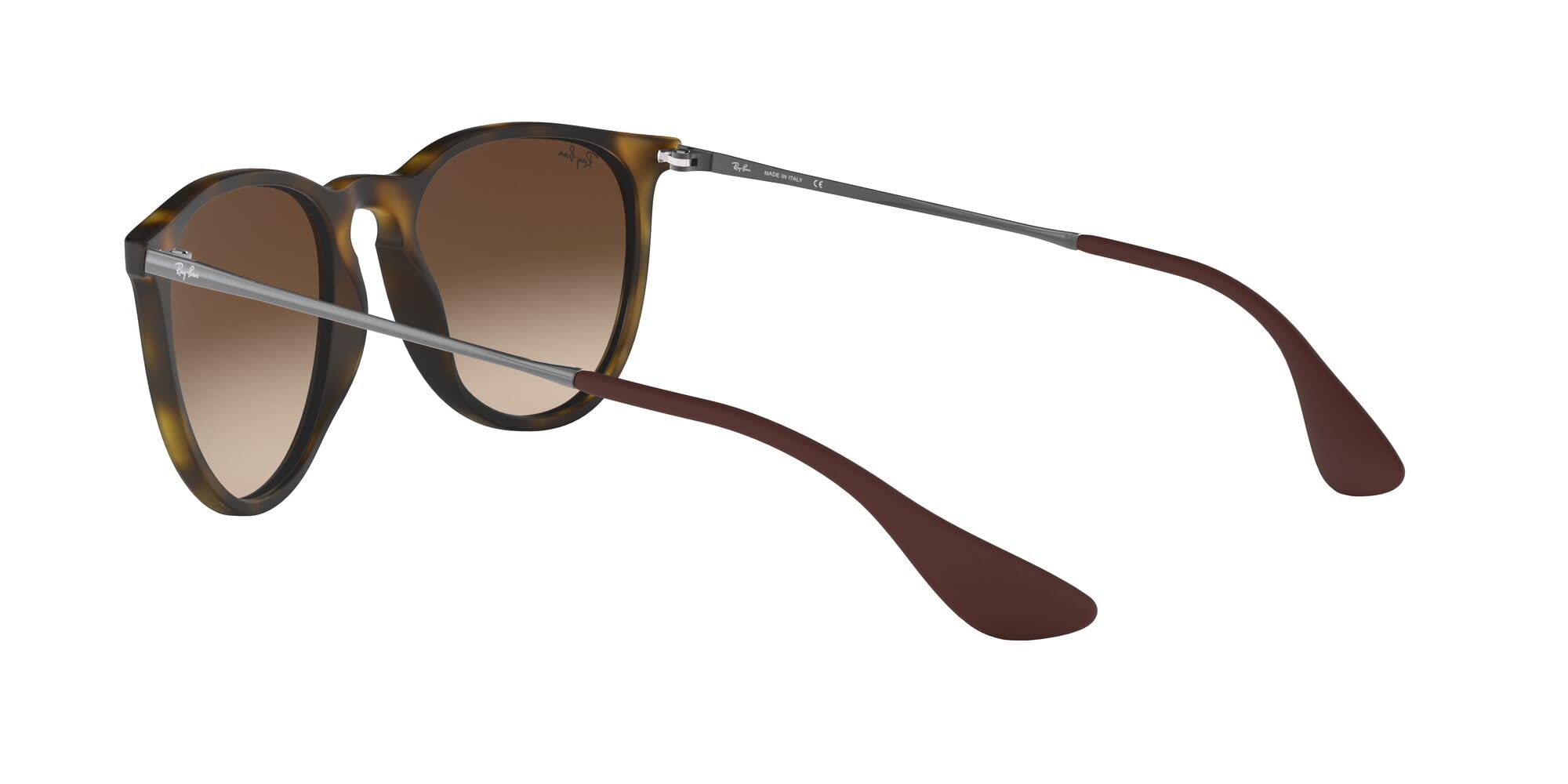Ray-Ban RB4171 Erika Round Sunglasses
