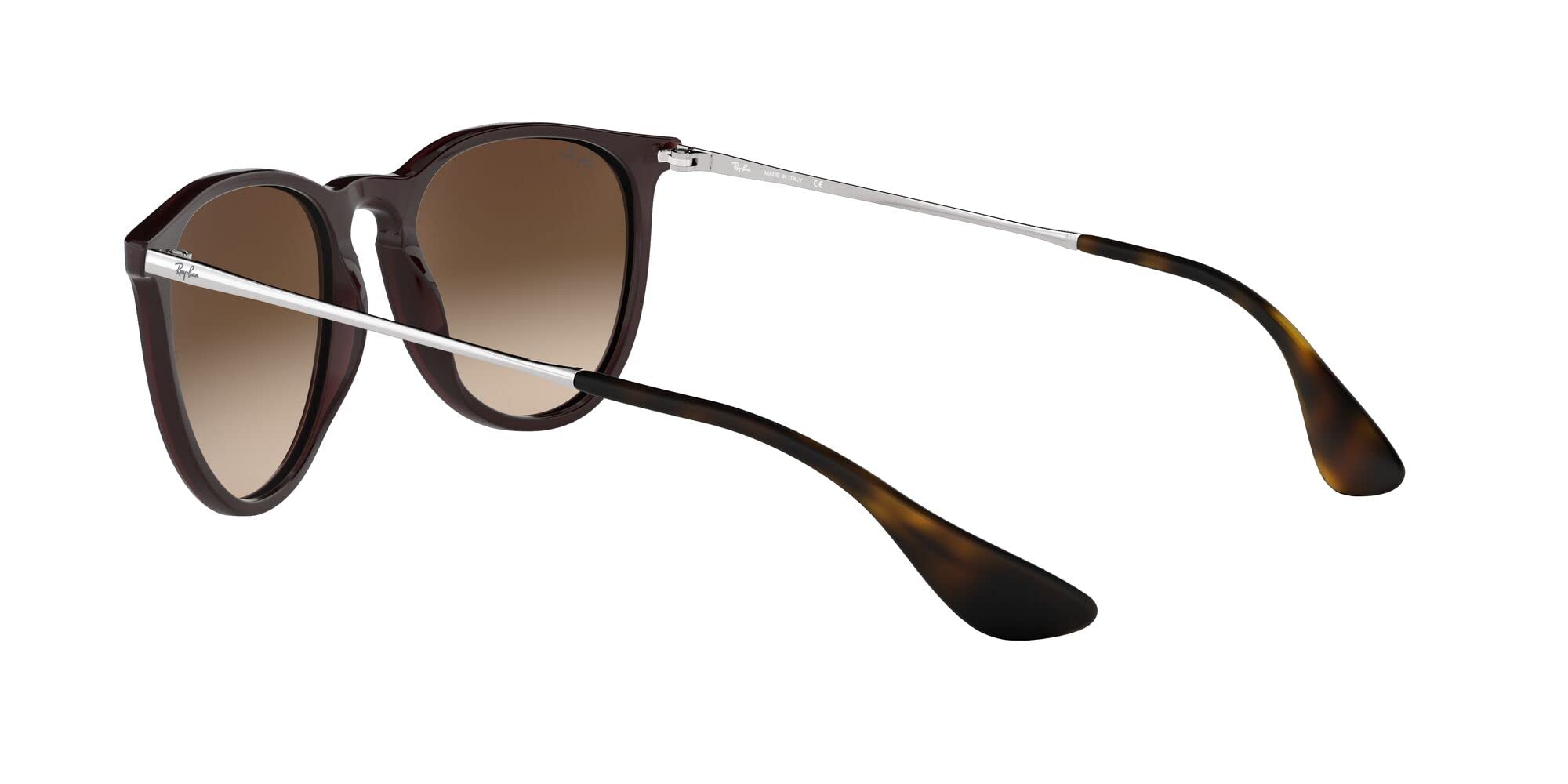 Ray-Ban RB4171 Erika Round Sunglasses