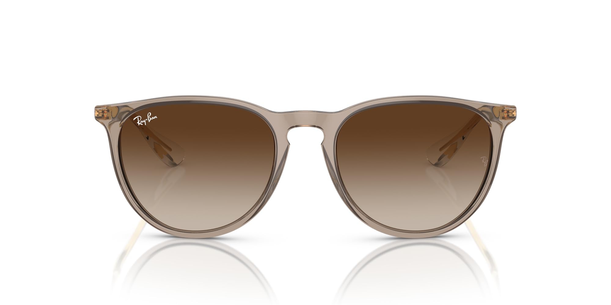 Ray-Ban RB4171 Erika Round Sunglasses