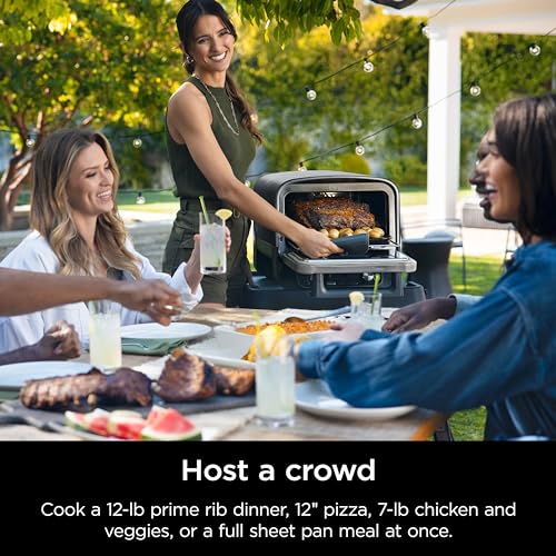 Ninja Woodfire 8-in-1 Outdoor Oven, Pizza Oven, 700°F High Heat Roaster, BBQ Smoker, Ninja Woodfire Technology, Weather Resistant, Portable, Electric, Grey, OO101LWC (Canadian Version)