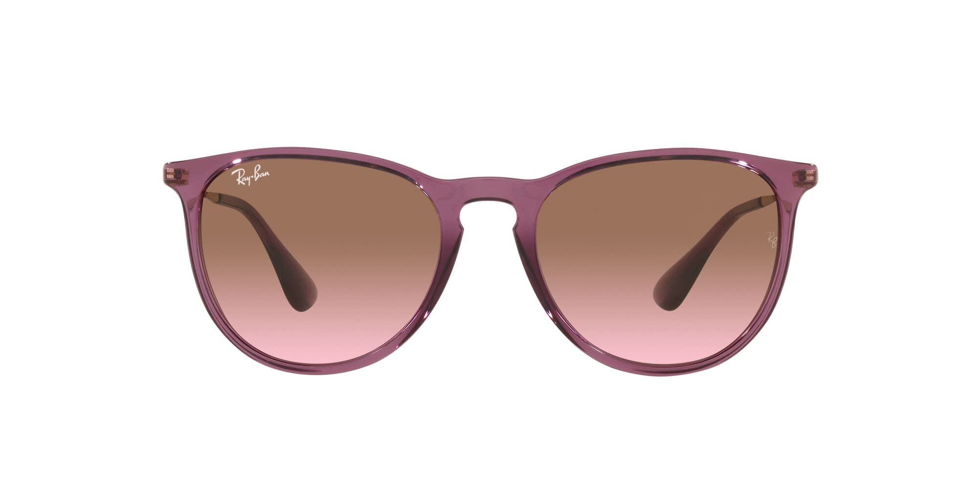 Ray-Ban RB4171 Erika Round Sunglasses
