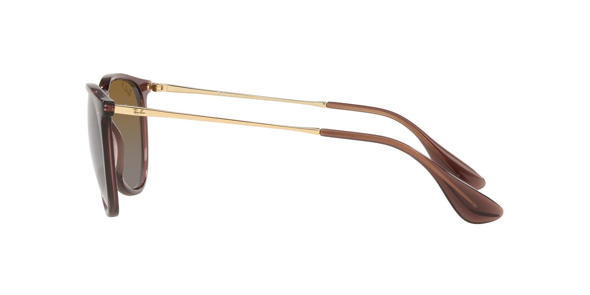 Ray-Ban RB4171 Erika Round Sunglasses