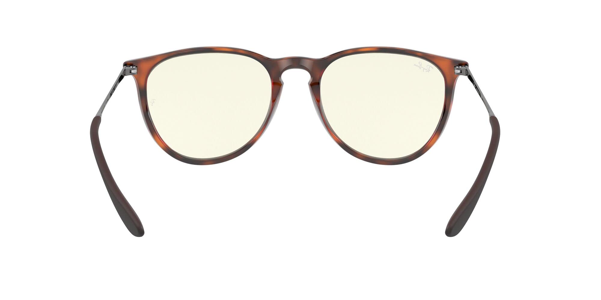 Ray-Ban RB4171 Erika Round Sunglasses