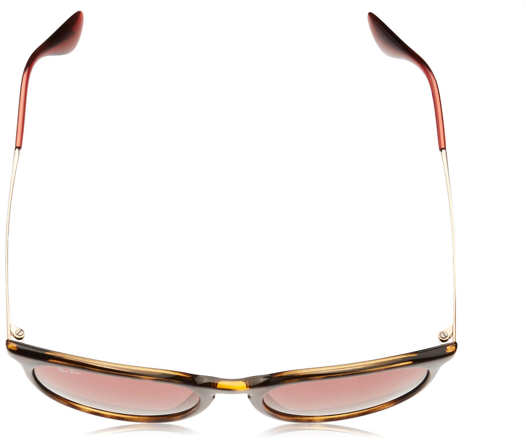 Ray-Ban RB4171 Erika Round Sunglasses