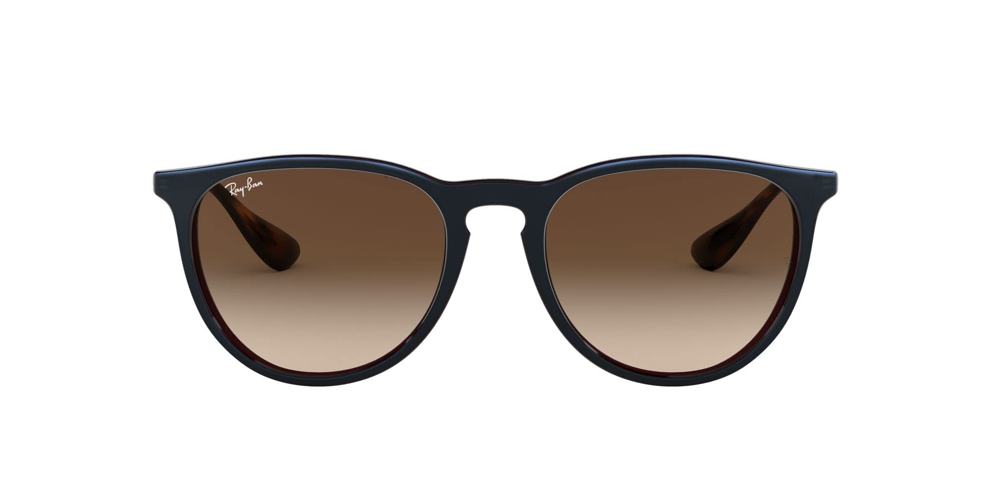 Ray-Ban RB4171 Erika Round Sunglasses