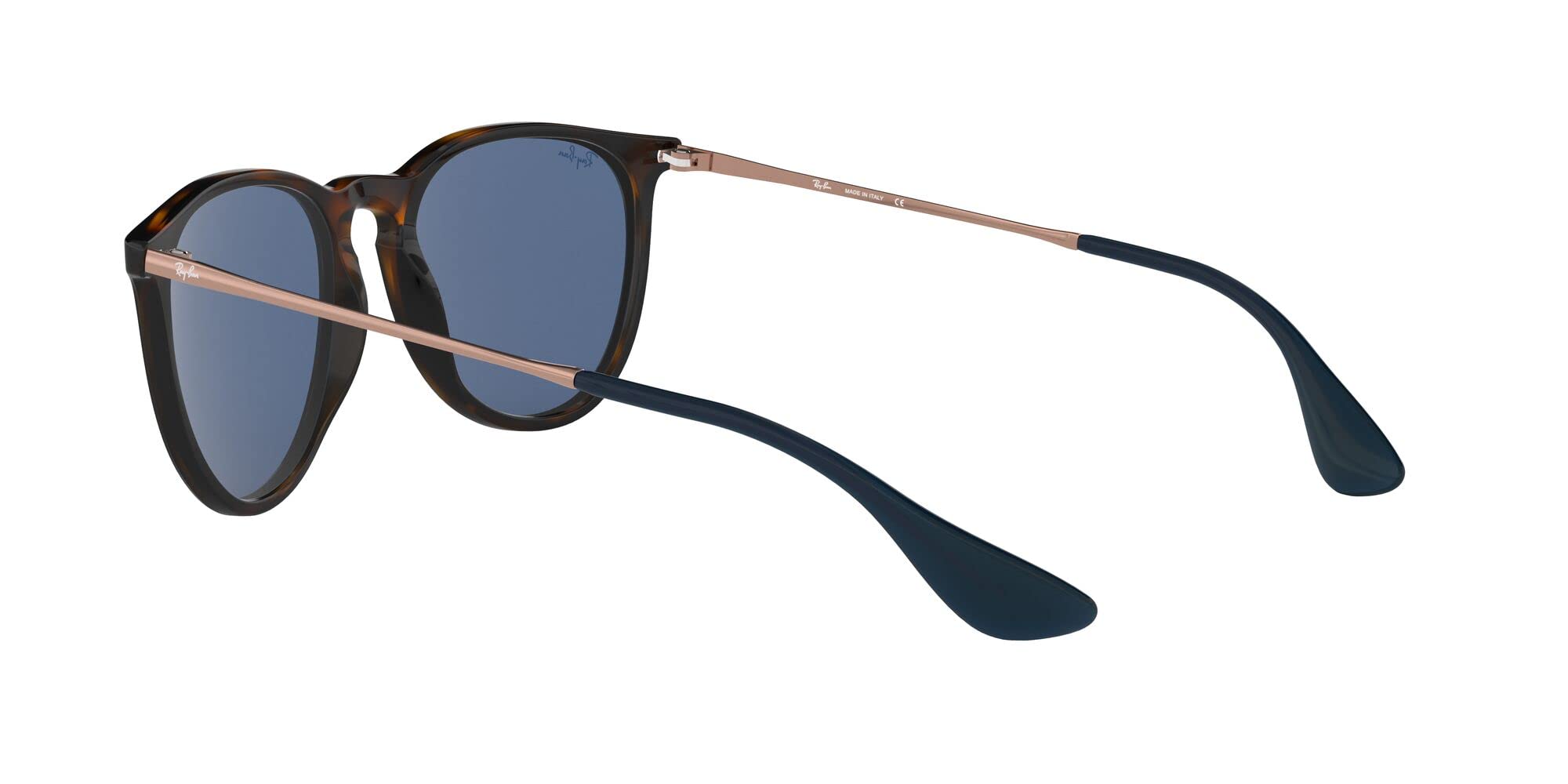 Ray-Ban RB4171 Erika Round Sunglasses