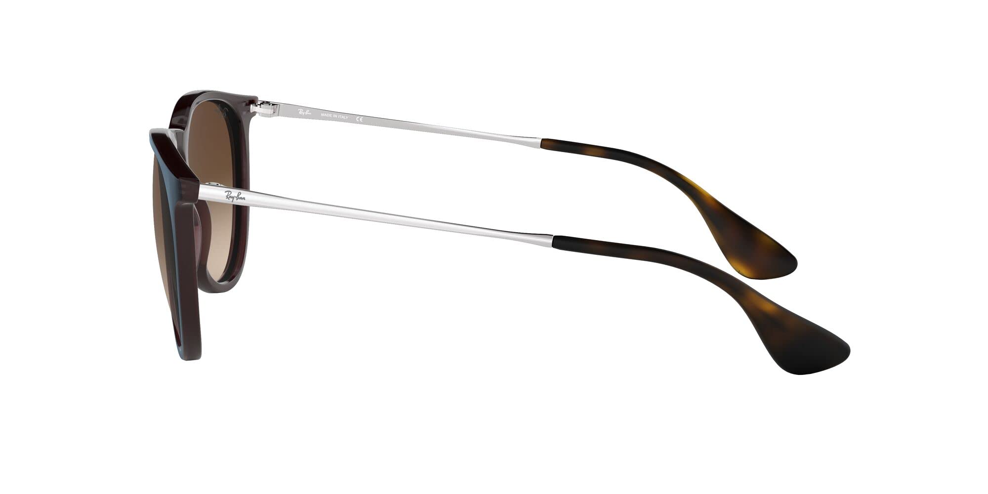 Ray-Ban RB4171 Erika Round Sunglasses