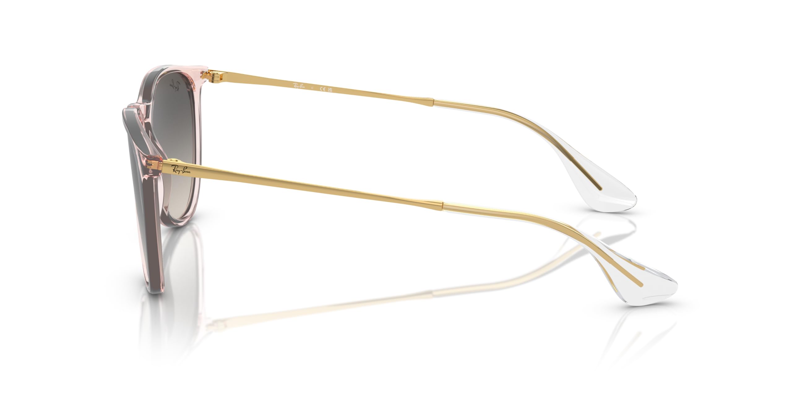 Ray-Ban RB4171 Erika Round Sunglasses