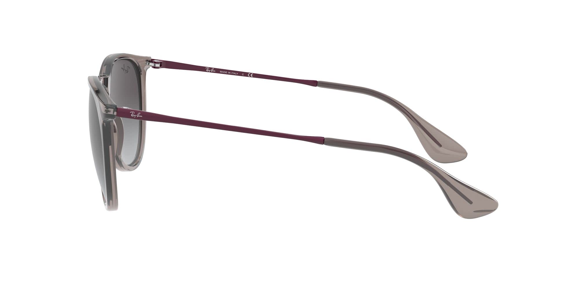 Ray-Ban RB4171 Erika Round Sunglasses