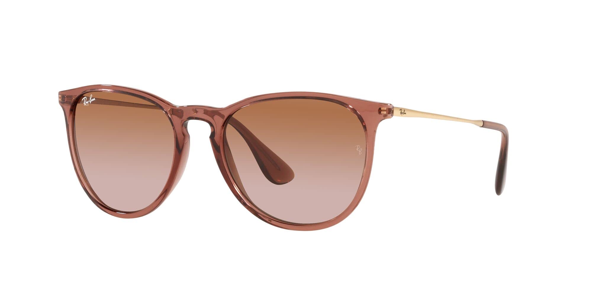 Ray-Ban RB4171 Erika Round Sunglasses