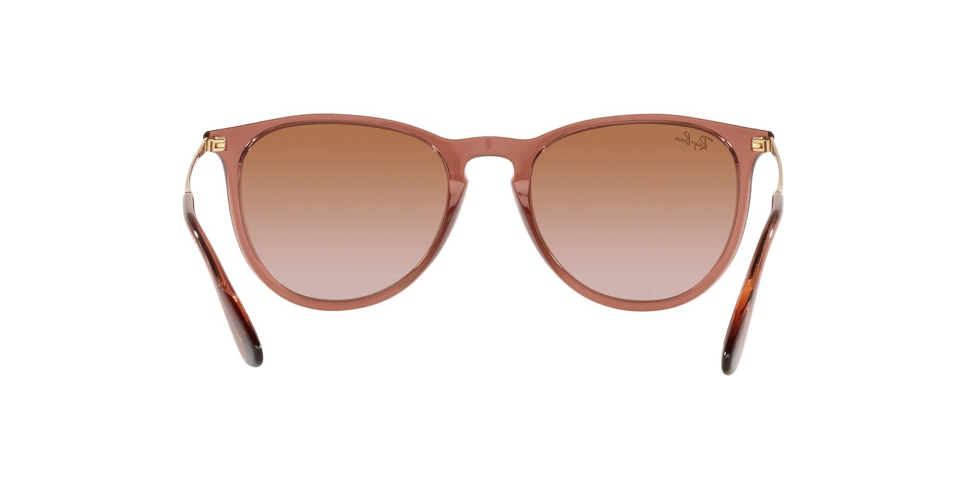 Ray-Ban RB4171 Erika Round Sunglasses