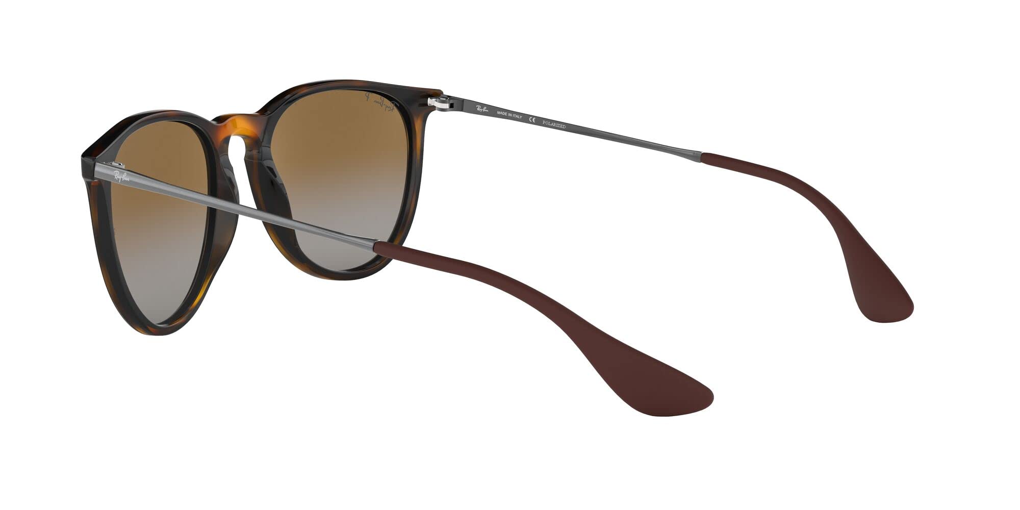 Ray-Ban RB4171 Erika Round Sunglasses