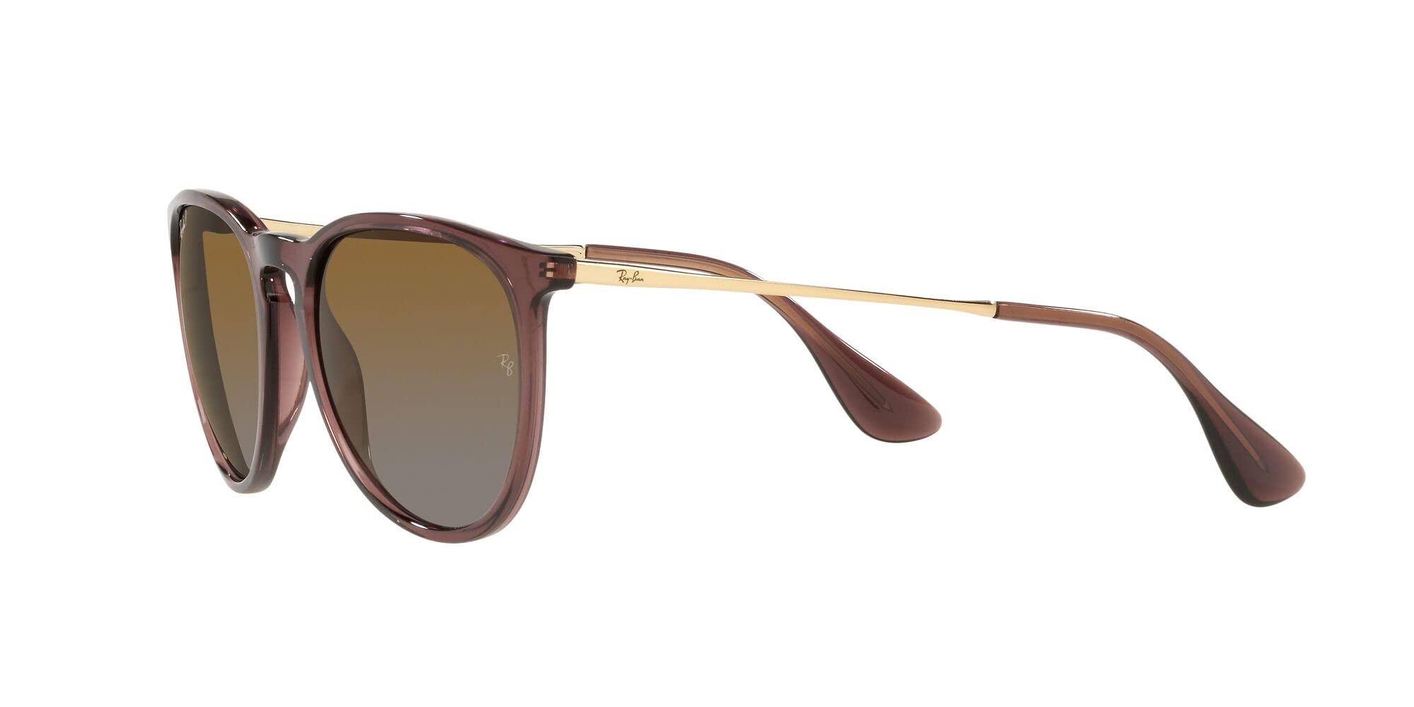 Ray-Ban RB4171 Erika Round Sunglasses