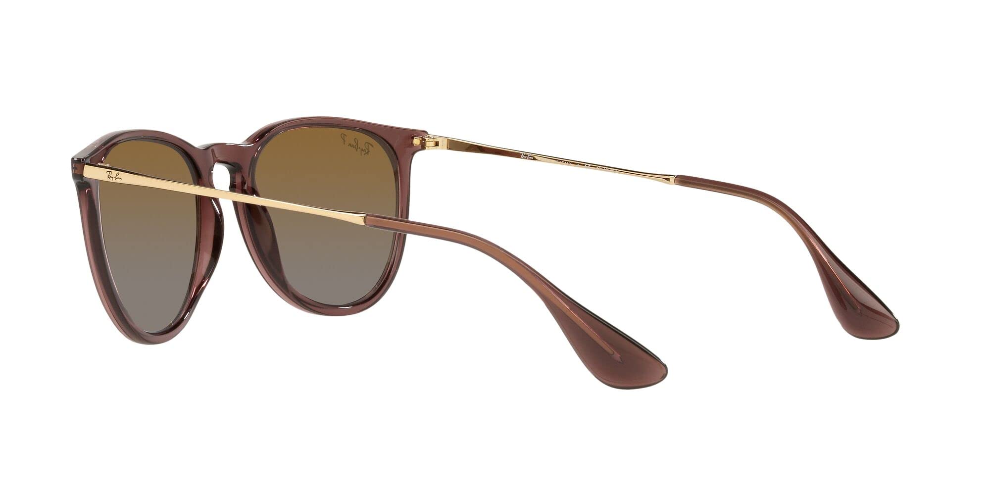 Ray-Ban RB4171 Erika Round Sunglasses