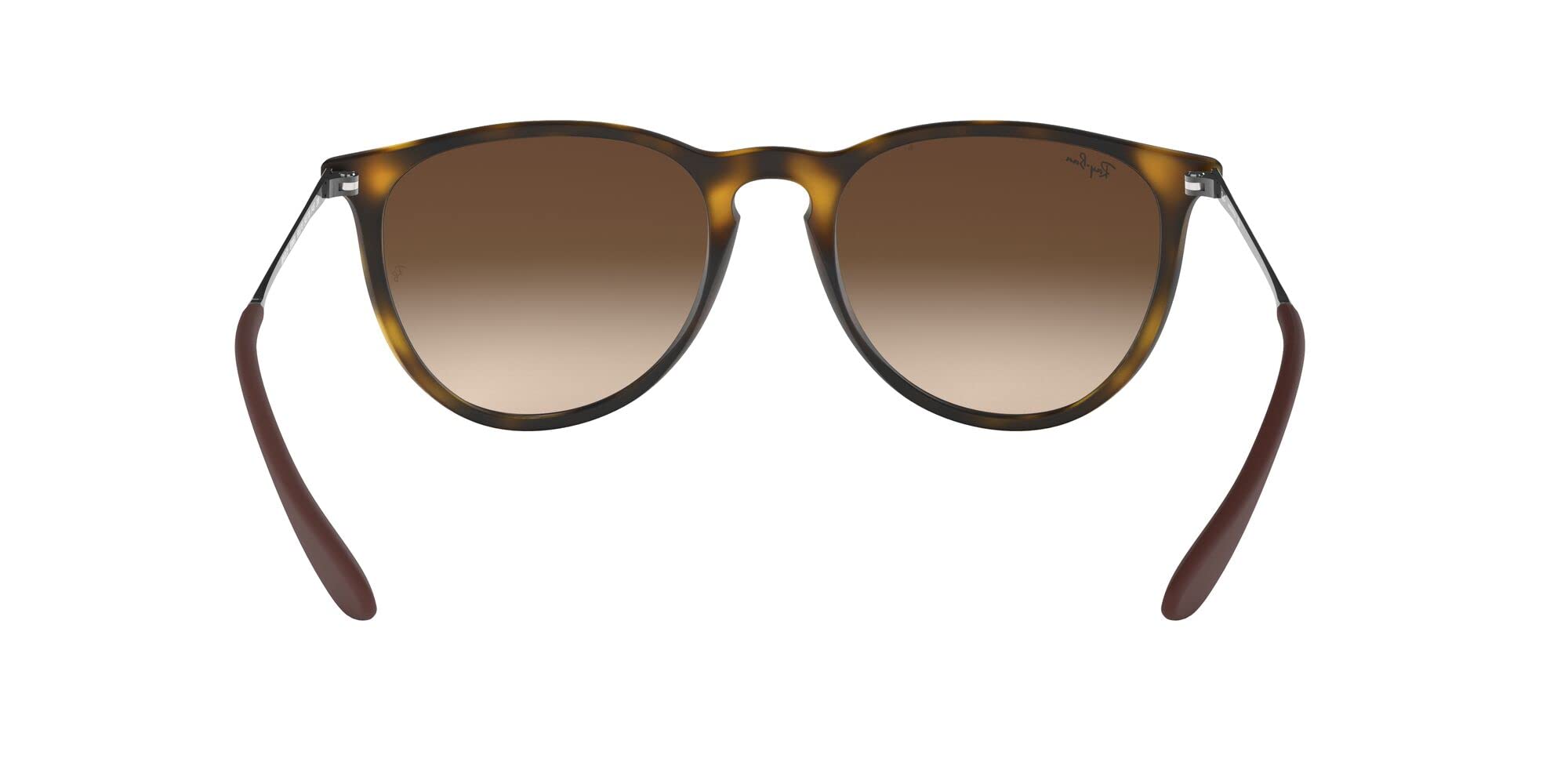Ray-Ban RB4171 Erika Round Sunglasses