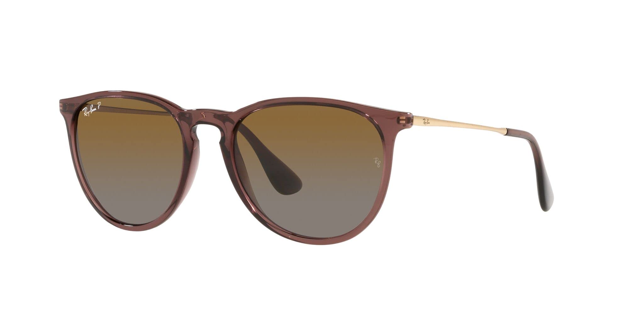 Ray-Ban RB4171 Erika Round Sunglasses
