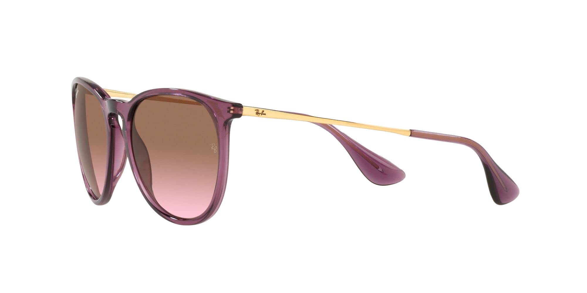 Ray-Ban RB4171 Erika Round Sunglasses
