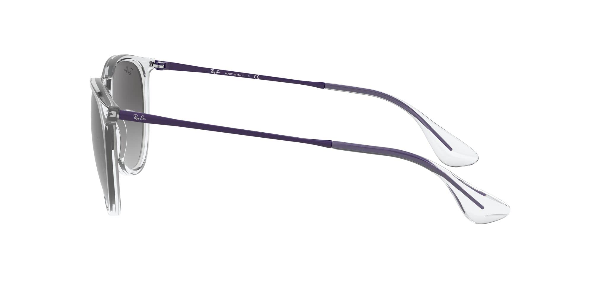 Ray-Ban RB4171 Erika Round Sunglasses