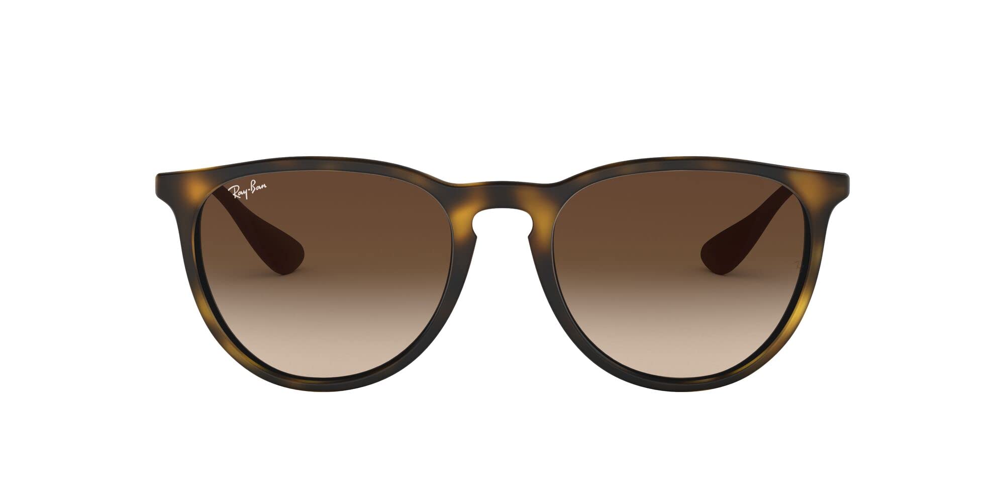 Ray-Ban RB4171 Erika Round Sunglasses